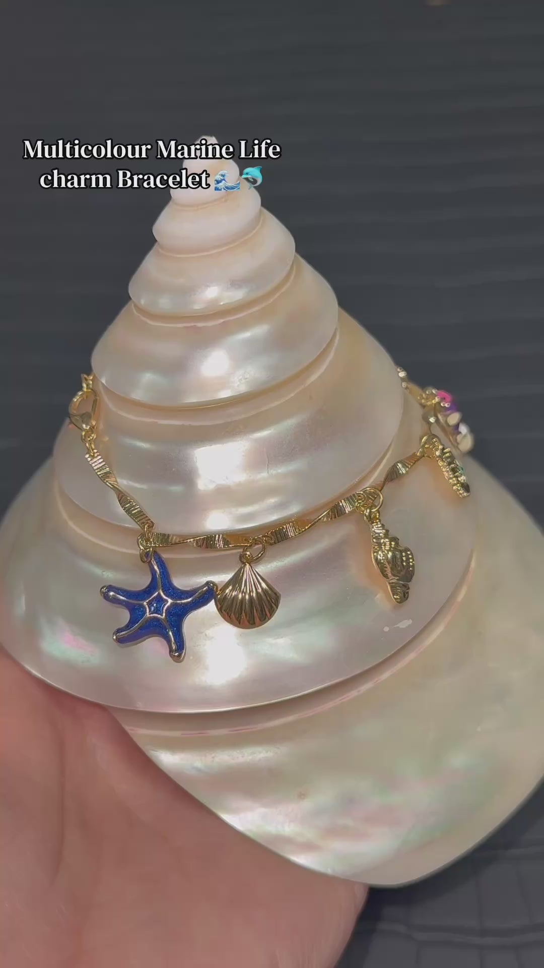 Multicolour Marine Life Bracelet